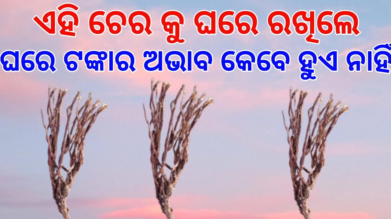 Money problem solution Odia | Money plant | tecbigyan