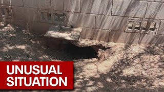 Arizona man becomes stuck in tortoise hole