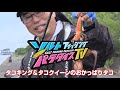 タコキング＆タコクイーンのおかっぱりタコ（ソルパラTV・第45回2021年8月5日放送）