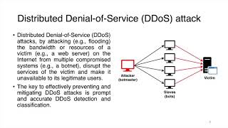 Toward Explainable and Adaptable Detection and Classification of Distributed DoS Attacks