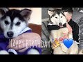 HAPPY BIRTHDAY TO THE GREATEST FEMALE DOG ALIVE! [UNSEEN PUPPY PICTURES & VIDEOS]