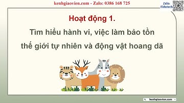 Giáo án PowerPoint Chủ đề 6 Bảo vệ cảnh quan thiên nhiên và ... (1) | GA điện tử HĐTN 12 cánh diều