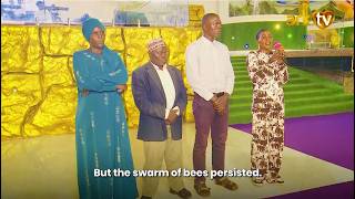 Touch Of Heaven | Transformation Story: Bees Attacked Their Home Severely!