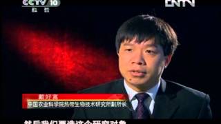 《探索·发现》 20120814 沉香缘（上） 6 8