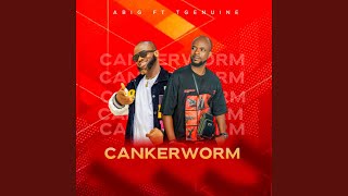 Cankerworm