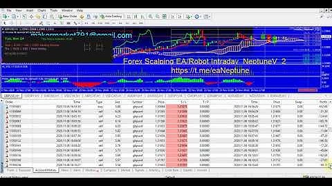 200-600% per month Forex Scalping EA/Robot Intraday_NeptuneV_2