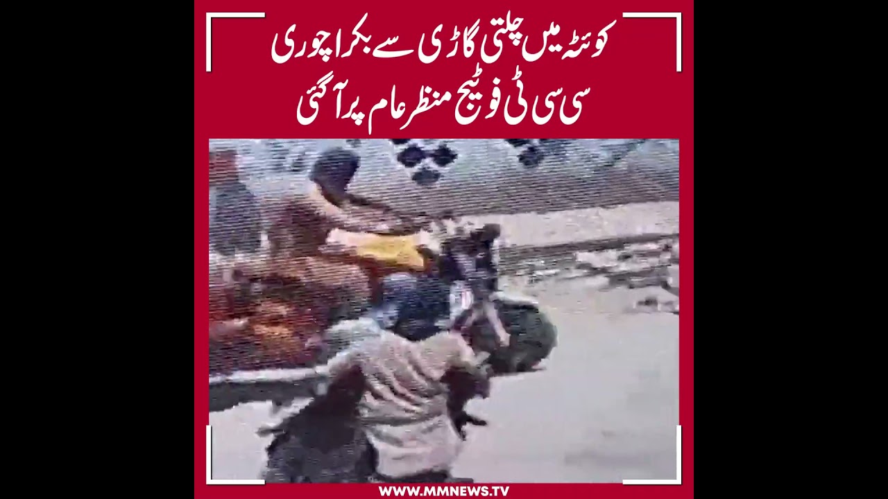 Stole a goat from a moving vehicle in Quetta