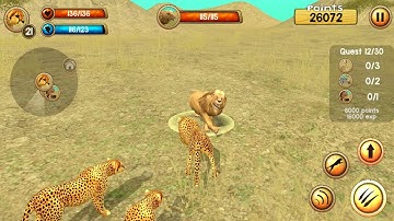 Wild Cheetah Sim 3D Android Gameplay #3