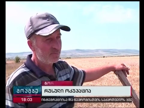 საოკუპაციო ძალების მორიგი უკანონობა - სობისში შეიარაღებულმა პირებმა ფერმერის მოსავალი აიღეს