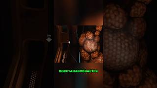 #87 оформил прям в табло... #bhaptics #loneecho  #valveindex #игры #русскаяозвучка