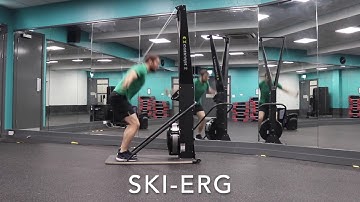 Ski Erg - Patrick MoJo PT - Exercise Library