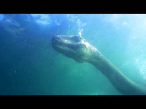 Leaked Loch Ness Monster Sightings Scientists Kept From The Public - YouTube