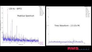 Understanding Bearing Defect Frequencies with Motion Amplification