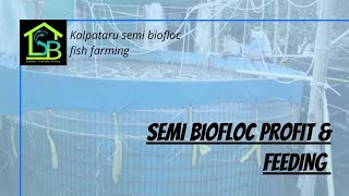 Semi biofloc fish farming//koi & Tengra Culture //10000 Ltr tank//feeding and growth