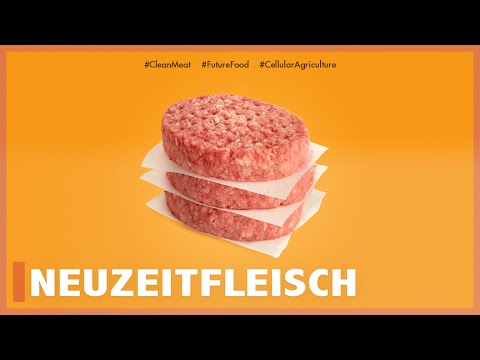 Video: Wir Sind Ein Produkt Eines Sich Selbst Reproduzierenden Universums - Alles In Der "Realität" Ist Eine Selbstsimulation - Alternative Ansicht