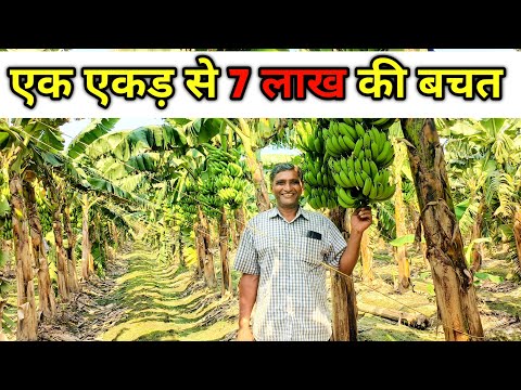 केले की खेती से कमाए 7 लाख रुपए।Banana Farming In India