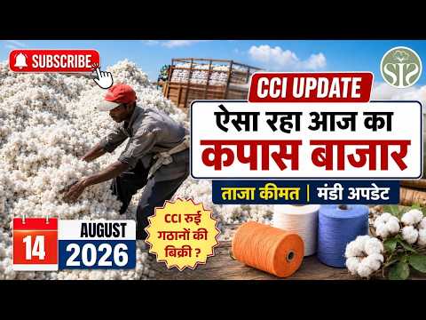 📉 रुई बाजार में गिरावट! रुई 300₹ टूटी 🔥 CCI Auction | Cotton Sowing Report #kapas