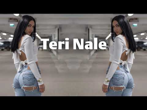 Elsen Pro Teri Nale Indian Remix