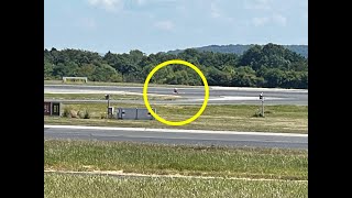 Hero Pilot Averts Disaster By Spotting Peppa Pig Walking Across Busy Runway