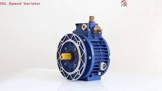 UDL Series Stepless Speed Variator