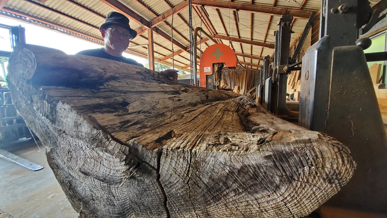 22【製材】雷神杉 落雷で真っ二つに裂けた杉が製材で新たな姿に蘇り