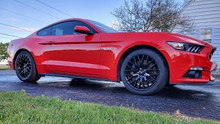 My New Daily! 2015 Mustang GT With Performance Pack, M6, 3,700 Miles!🙏