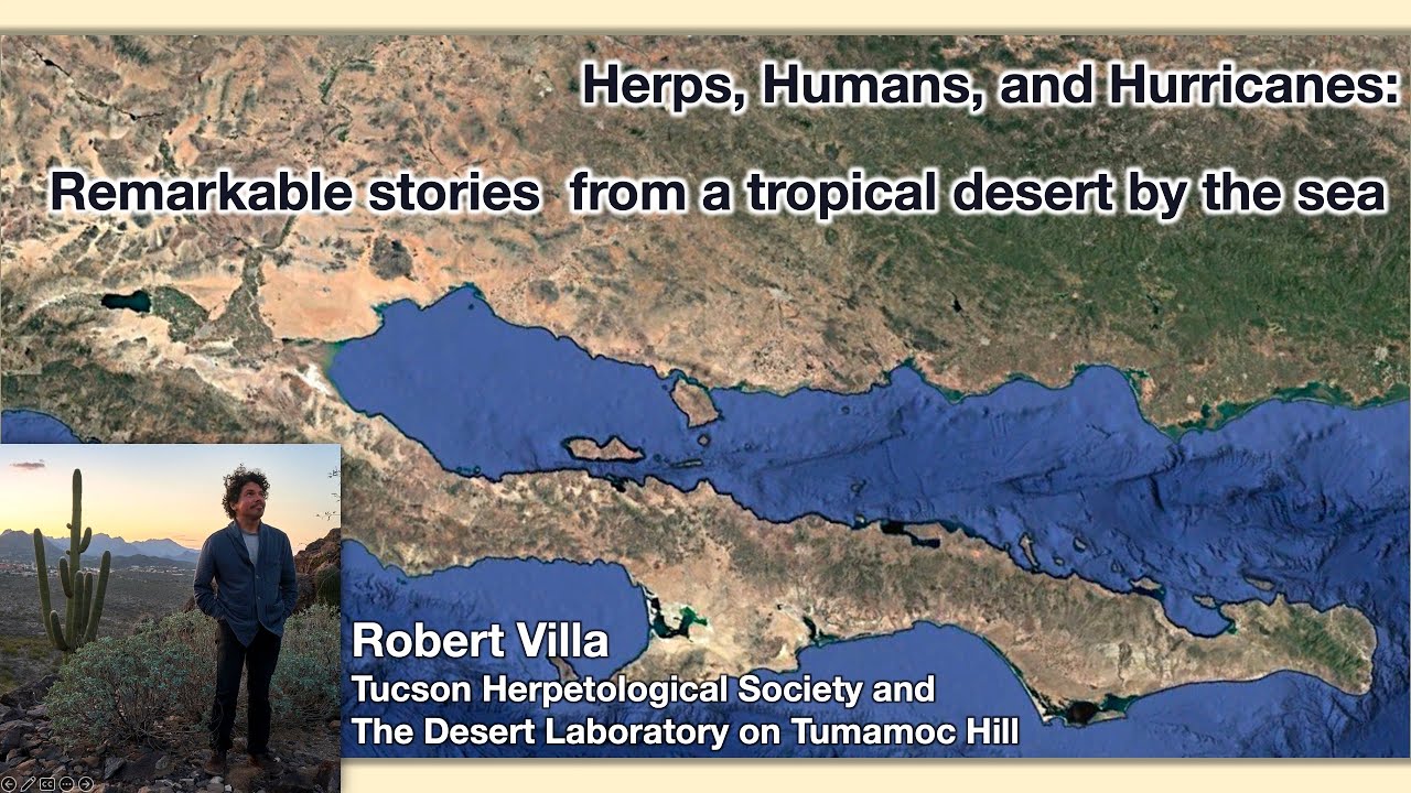 Robert Villa - Herps, Humans, and Hurricanes: Remarkable Stories from a Tropical Desert by the Sea