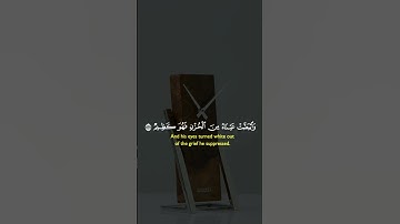 تلاوة عذبة تفيض جمالآ 💚 {..فصبر جميل عسى الله أن يأتيني بهم جميعا..}