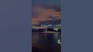 قُتِل الإنسان ما أكفره - تلاوة القارئ عكاشة كميني سورة عبس - حياة الإنسان في ثواني سبحان الله