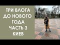 Три влога до Нового Года. Часть 3. Vlogmas