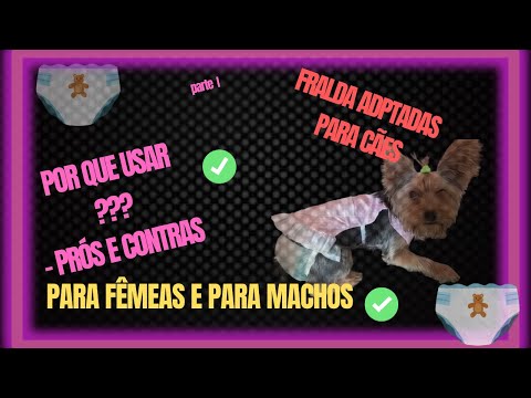 Vídeo: Você pode usar fraldas para bebês em cães no cio?