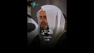 Surah Al-Ahzab ।। Ayat- 40-48 ।। Reciter- 🎙Mishary Rashid Al Afasy  #Quran #alquran #alafasy