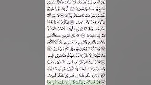 سورة هود الشيخ علي الحذيفي
