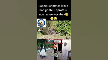 Abdii Baalee Hayyuu Nama 