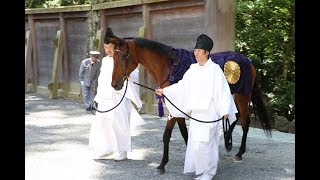 視訊 新神馬 草新號 供奉於伊勢神宮 Nippon Com 視訊 新神馬 草新號 供奉於伊勢神宮 Nippon Com