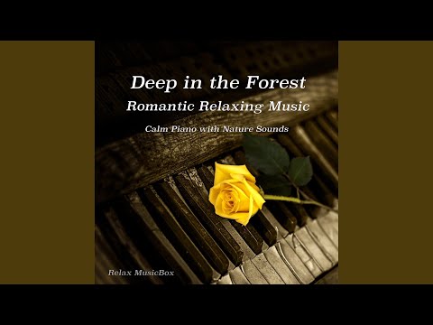 Deep In The Forest Romantic Relaxing Music With Nature Sounds 