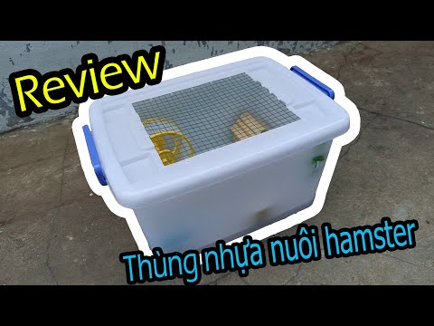 Video Review thùng nhựa 30l nuôi Hamster thoải mái - youtube