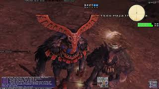 #ffxi Classic [HorizonXI] - A Moral Manifest NM Fight