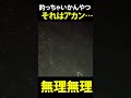 ごめん…それは釣れん…… ※初めて釣りした友達が…