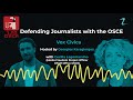 Defending journalists with the OSCE: A conversation with Cecilia Vera Lagomarsino