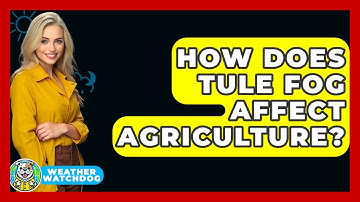 How Does Tule Fog Affect Agriculture? - Weather Watchdog