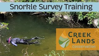 Fish Snorkel Survey Training in Arroyo Grande Creek with California Department of Fish and Wildlife
