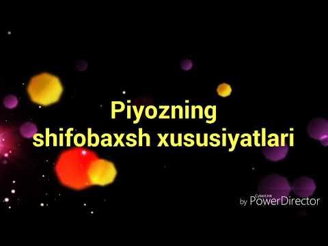 Пиезнинг шифобахш хусусиятлари.Piyozning