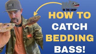 2 SECRET TIPS to Catch BEDDING BASS (How To)