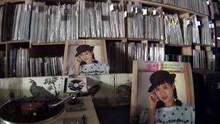 鄧妙華 Maggie Teng -- a4 小蓓蕾