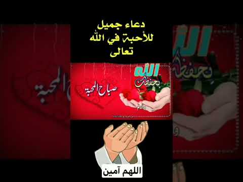 دعاء جميل للاحبه