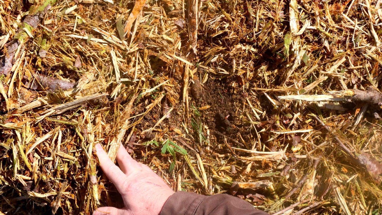 Make the most of your mulch with Mike Omeg