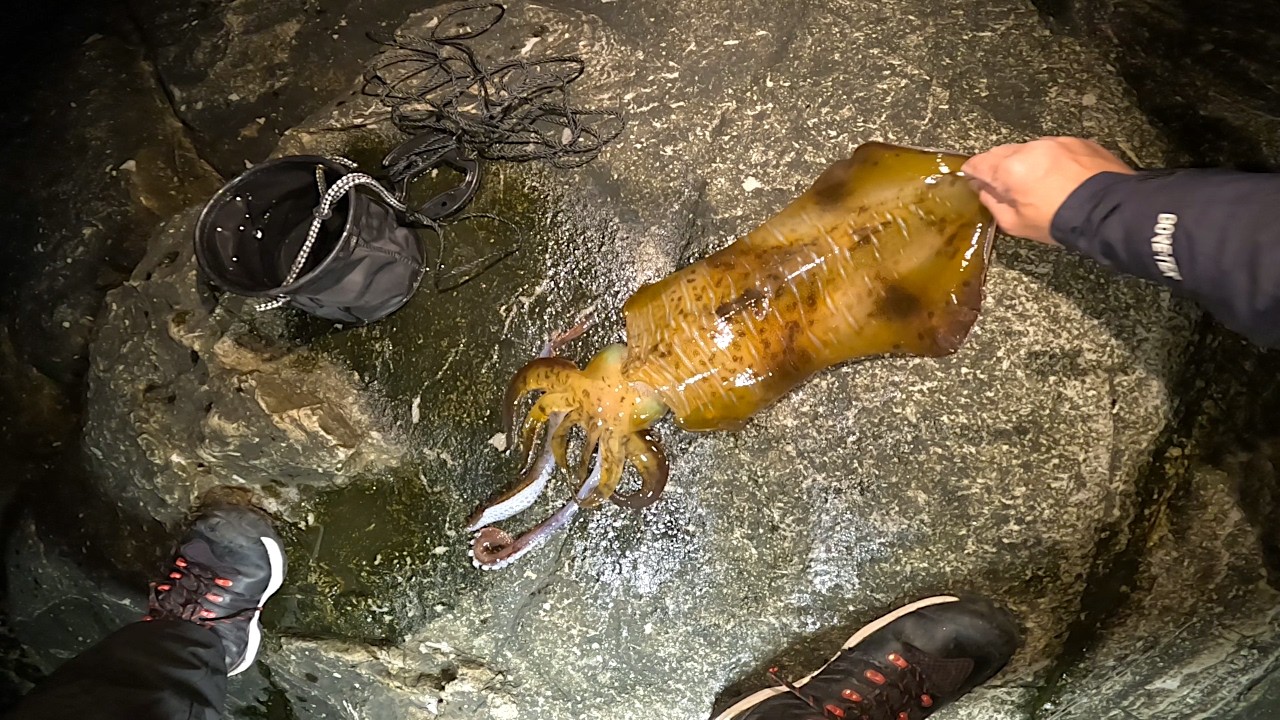 【4月ヤエン釣り】ピトン忘れたらこうなった笑　諦めナイが肝心！