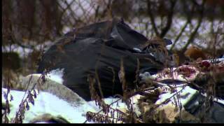 Community fed up with Hamden eyesore