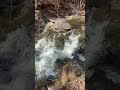 Early Spring Creek Running Strong 🌊